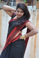 Sitara Saree Photos